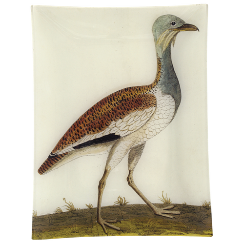 #3 - Female Bustard