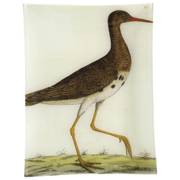 #5 -  Loole Snipe