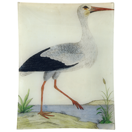 #25 - Stork
