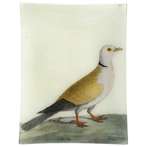 #6 - Turtle Dove