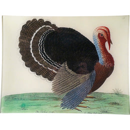 The Turkey