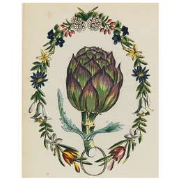 Artichoke (p 135)