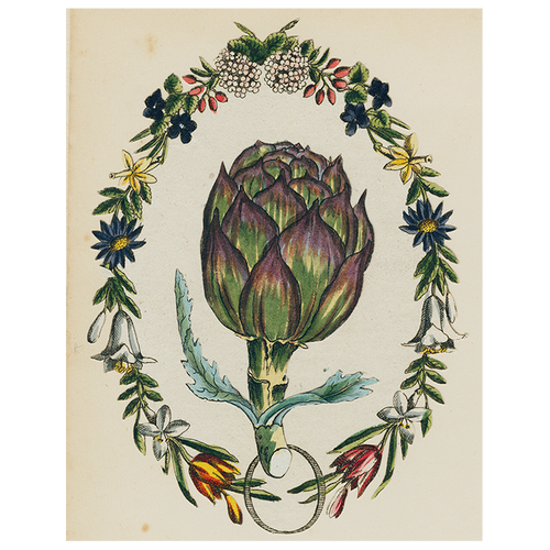Artichoke (p 135)