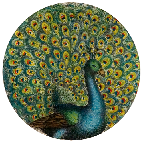 A 16-inch round glass plate featuring a colorful peacock. 