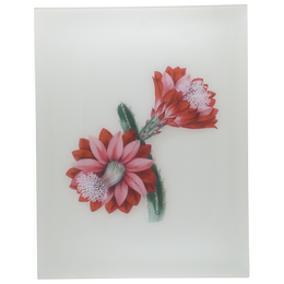 Flora Belles