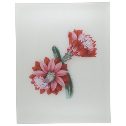 Flora Belles