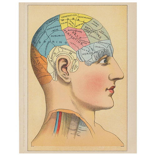 Phrenology 2 (p 174)