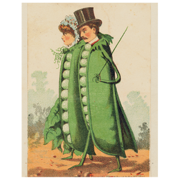 Peas in a Pod (p 176)