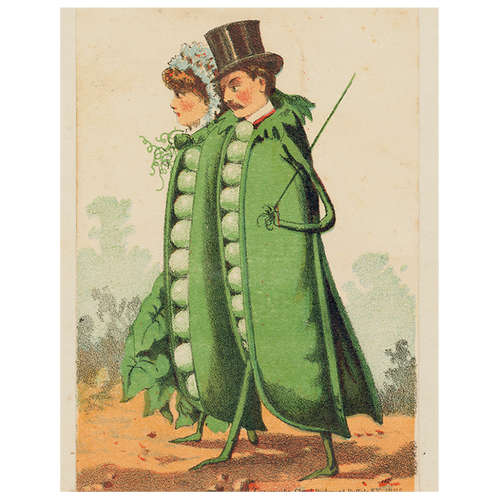 Peas in a Pod (p 176)
