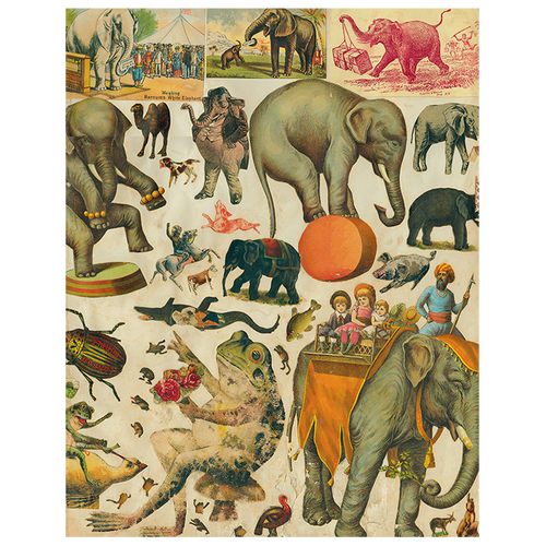 Circus Elephant (p 210)