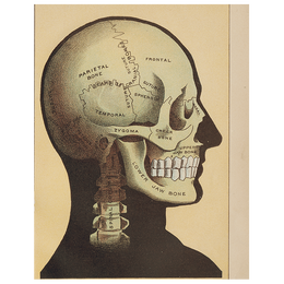 Black Skull (p 231)
