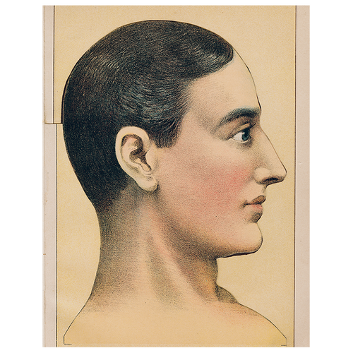 Picture of Perfect Health (p 232)