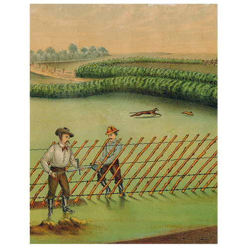 Live Hedge (p 247)