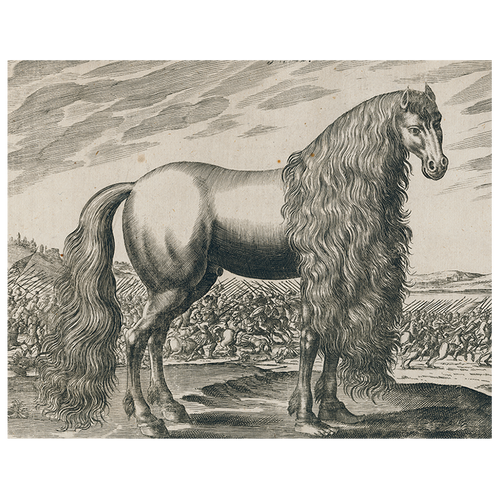 Fantasy Horse (p 270)