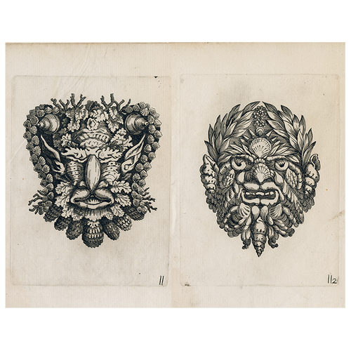 Shell Portraits (p 311)
