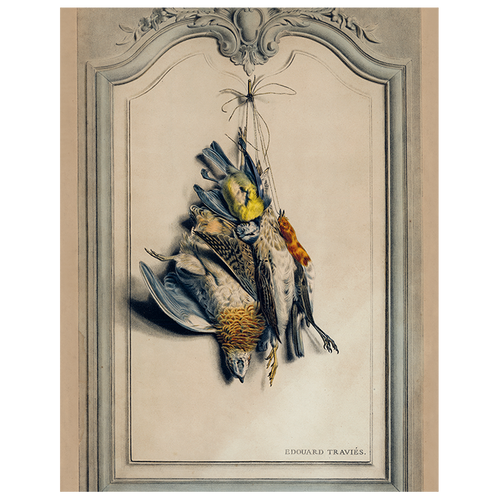 Game Birds: Light (p 331)