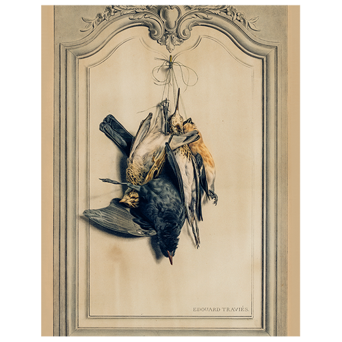 Game Birds: Dark (p 332)
