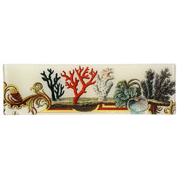 Corals
