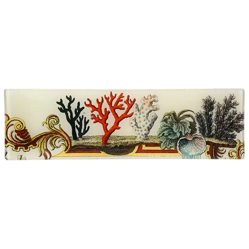 Corals