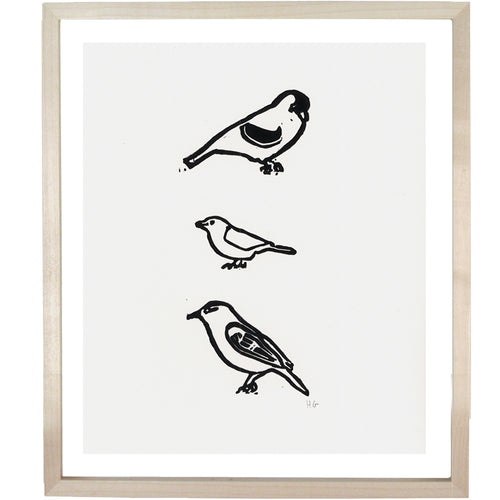 3 Birds