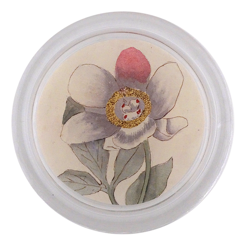 Peony
