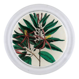 Caribbean Bark Leaves