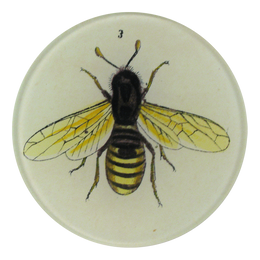 Bee three is a yellow and black bee with yellow wings and is hand made to order with decoupage. 