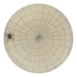 A four inch round plate with a black and white web design and a spider on the left edge.