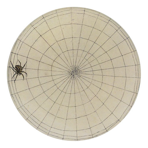 A four inch round plate with a black and white web design and a spider on the left edge.