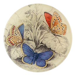 A vintage illustration of Copper & Common (Blue Butterflies (Entomology) in a four inch round handmade decoupage plate