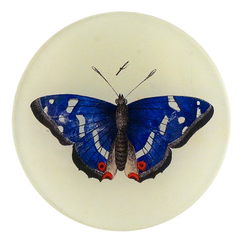 A four inch round decoupage plate featuring a rich blue butterfly with 2 red circles on the bottom of the wings