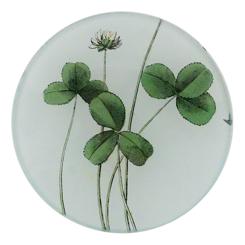 A four inch round plate featuring three green clovers and a white flower, with a white border.