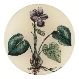 A four inch round handmade decoupage plate featuring a vintage drawing of the flower Viola