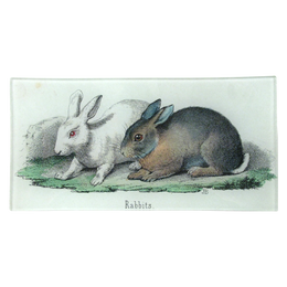 Rabbits