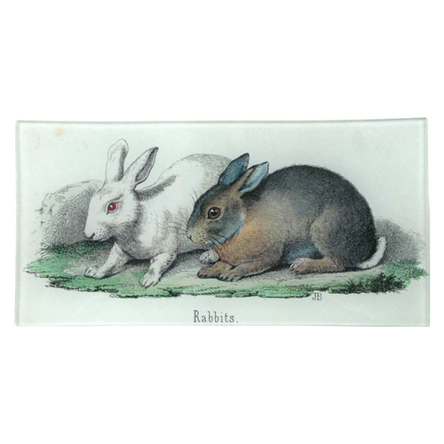 Rabbits