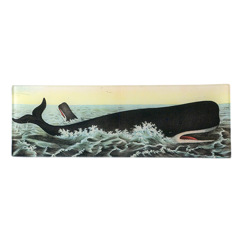 Whale in Waves