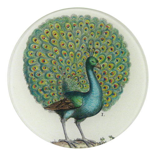 A five inch round glass plate featuring a peacock in vibrant colors on a white background.
