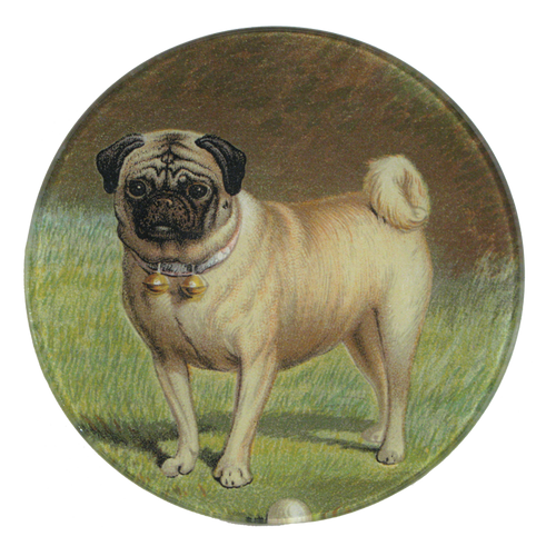 A five inch round glass plate featuring a collaged paper image of a pug dog with a ball.