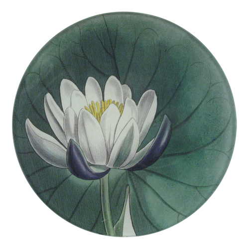 A five inch round glass plate featuring a design of a water lily.