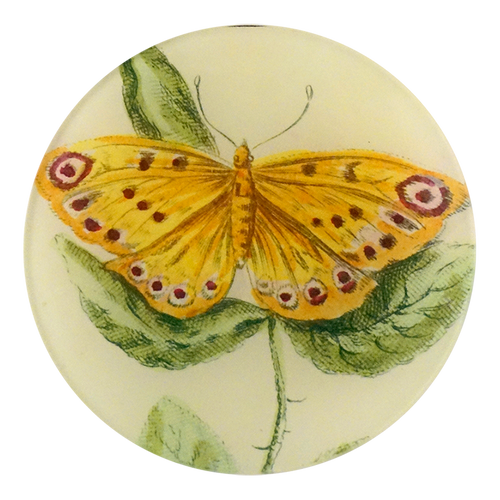 A five inch round glass plate featuring a yellow butterfly with red and black markings on its wings, sitting on a green leaf.