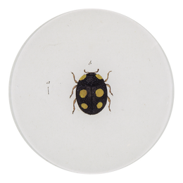 A five inch round glass plate featuring a black and yellow ladybug on a white background.
