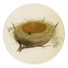 A five inch round glass plate featuring a bird's nest design.