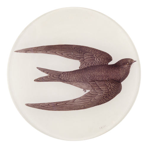 A five inch round glass plate featuring a Swallow Bird with a brown color scheme.