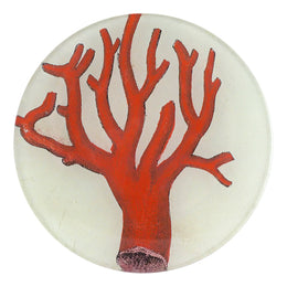 A five inch round glass plate featuring a red coral on a white background. 