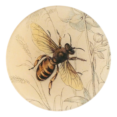 A five in round glass plate with a detailed illustration of a bee in the center, surrounded by floral patterns, on a beige background.