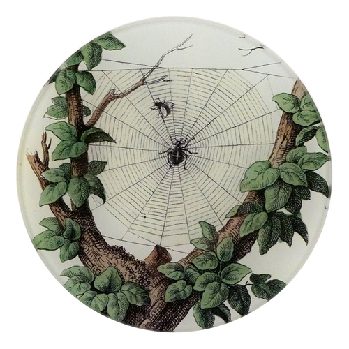 A five inch round glass plate with a spider web and foliage design, featuring a spider in the center, surrounded by green leaves on a white background.