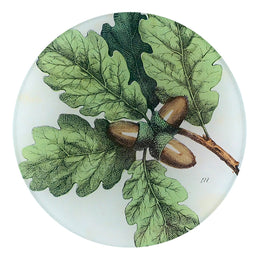 A five inch round glass plate with a botanical design, featuring green leaves and brown acorns.