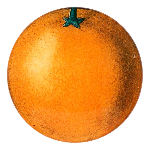 A five inch glass plate of an orange with green stem.