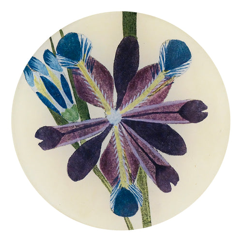 A five inch round glass plate featuring an illustration of purple and blue iris flowers.