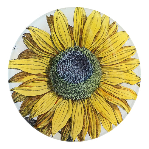 A five inch round plate featuring  of a sunflower.